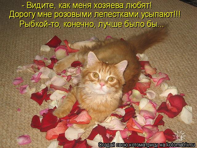 - Видите, как меня хозяева любят! Дорогу мне розовыми лепестками усыпают!!! Рыбкой-то, конечно, лучше... Котоматрица: - Видите, как меня хозяева любят! Дорогу мне розовыми лепестками усыпают!!! Рыбкой-то, конечно, лучше было бы...