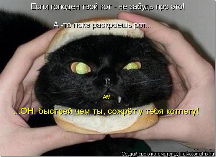 Котоматрица: Если голоден твой кот - не забудь про это! А -то пока раскроешь рот.... ...ОН, быстрей чем ты, сожрёт у тебя котлету! АМ !