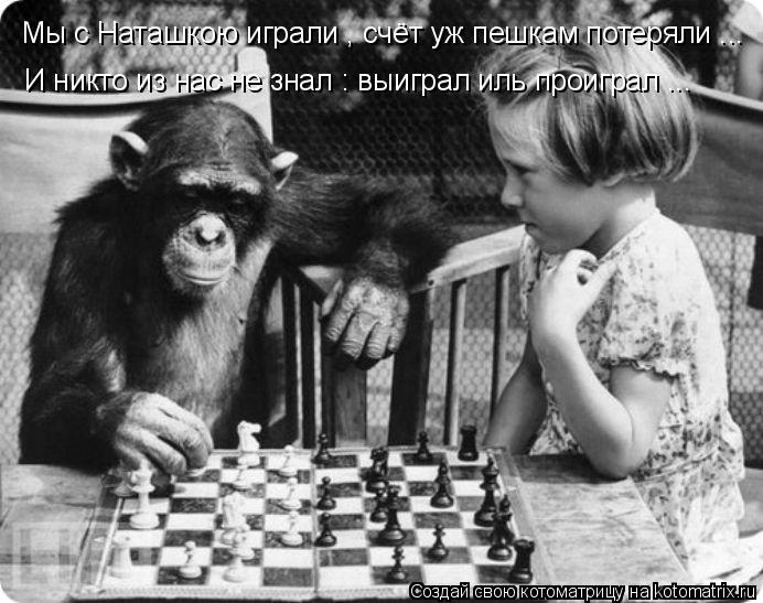 Мы с Наташкою играли , счёт уж пешкам потеряли ... И никто из нас не знал : выиграл иль проиграл ...... Котоматрица: Мы с Наташкою играли , счёт уж пешкам потеряли ... И никто из нас не знал : выиграл иль проиграл ...