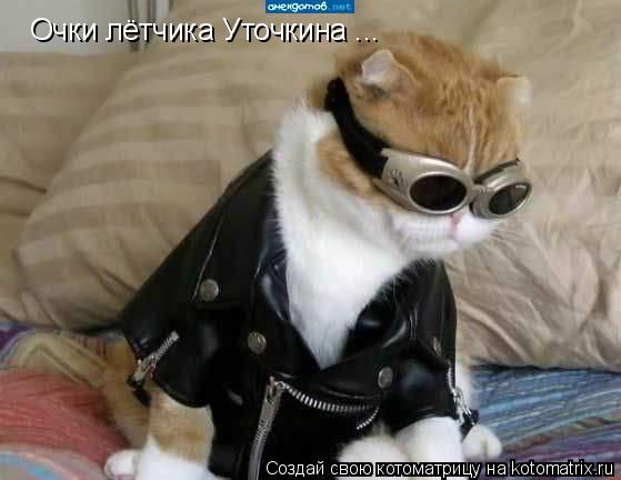 Очки лётчика Уточкина ...... Котоматрица: Очки лётчика Уточкина ...
