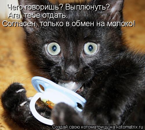 Чего говоришь? Выплюнуть? Ага, тебе отдать. Согласен, только в обмен на молоко!... Котоматрица: Чего говоришь? Выплюнуть? Ага, тебе отдать. Согласен, только в обмен на молоко!