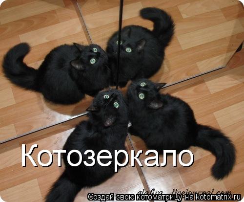 Котозеркало... Котоматрица: Котозеркало