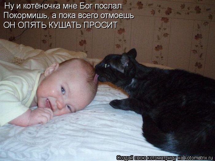 Ну и котёночка мне Бог послал Покормишь, а пока всего отмоешь ОН ОПЯТЬ КУШАТЬ ПРОСИТ... Котоматрица: Ну и котёночка мне Бог послал Покормишь, а пока всего отмоешь ОН ОПЯТЬ КУШАТЬ ПРОСИТ