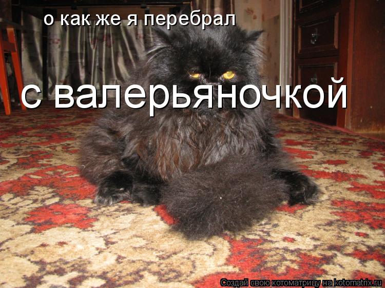 о как же я перебрал с валерьяночкой... Котоматрица: о как же я перебрал с валерьяночкой
