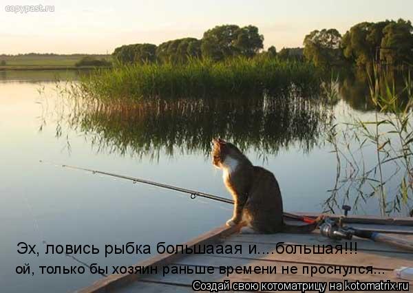Эх, ловись рыбка большааая и....большая!!! ой, только бы хозяин раньше времени не проснулся...... Котоматрица: Эх, ловись рыбка большааая и....большая!!! ой, только бы хозяин раньше времени не проснулся...