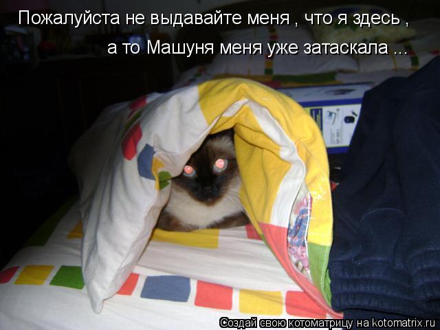 Пожалуйста не выдавайте меня , что я здесь , а то Машуня меня уже затаскала ...... Котоматрица: Пожалуйста не выдавайте меня , что я здесь , а то Машуня меня уже затаскала ...