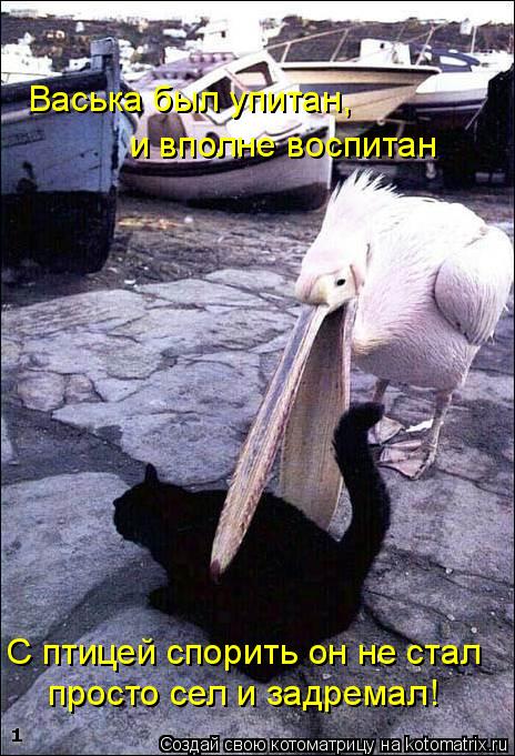 и вполне воспитан просто сел и задремал! Васька был упитан, С птицей спорить он не стал... Котоматрица: и вполне воспитан просто сел и задремал! Васька был упитан, С птицей спорить он не стал