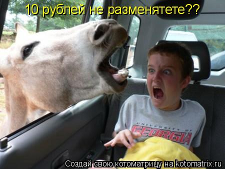 10 рублей не разменятете??... Котоматрица: 10 рублей не разменятете??
