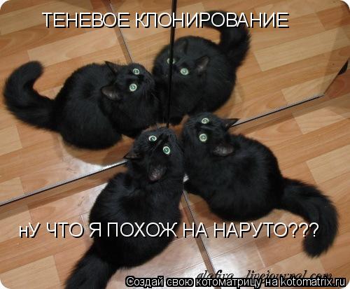 ТЕНЕВОЕ КЛОНИРОВАНИЕ нУ ЧТО Я ПОХОЖ НА НАРУТО???... Котоматрица: ТЕНЕВОЕ КЛОНИРОВАНИЕ нУ ЧТО Я ПОХОЖ НА НАРУТО???