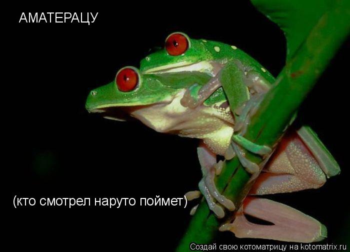 АМАТЕРАЦУ (кто смотрел наруто поймет)... Котоматрица: АМАТЕРАЦУ (кто смотрел наруто поймет)