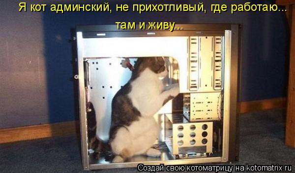 Я кот админский, не прихотливый, где работаю... там и живу...... Котоматрица: Я кот админский, не прихотливый, где работаю... там и живу...
