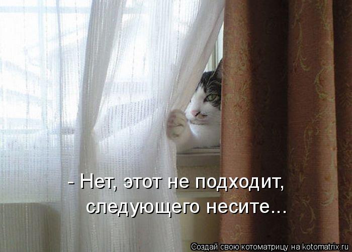 Котоматрица: - Нет, этот не подходит, следующего несите...