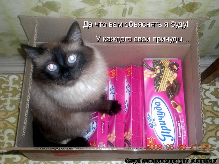 Котоматрица: У каждого свои причуды... Да что вам объяснять я буду!