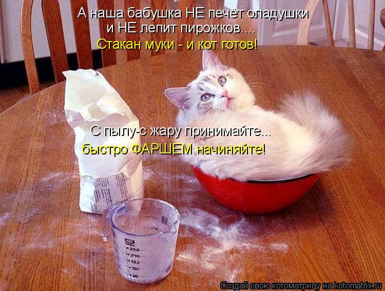 А наша бабушка НЕ печёт оладушки Стакан муки - и кот готов! С пылу-с жару принимайте... быстро ФАРШЕМ... Котоматрица: А наша бабушка НЕ печёт оладушки Стакан муки - и кот готов! С пылу-с жару принимайте... быстро ФАРШЕМ начиняйте! и НЕ лепит пирожков....