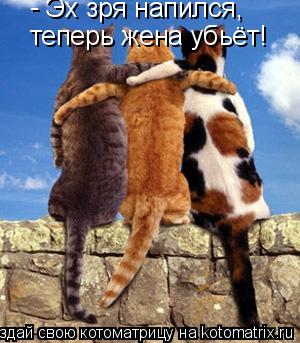 теперь жена убьёт! - Эх зря напился,... Котоматрица: теперь жена убьёт! - Эх зря напился,
