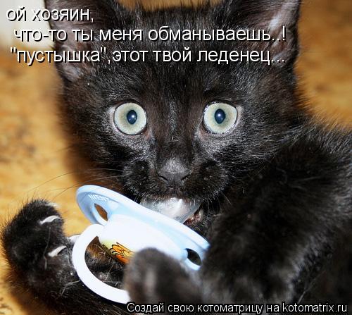 ой хозяин, что-то ты меня обманываешь..! "пустышка",этот твой леденец...... Котоматрица: ой хозяин, что-то ты меня обманываешь..! "пустышка",этот твой леденец...