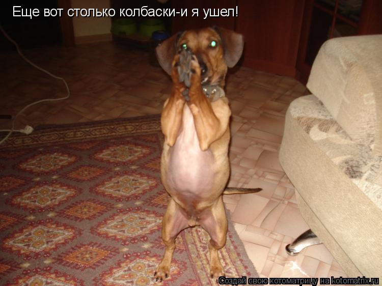 Еще вот столько колбаски-и я ушел!... Котоматрица: Еще вот столько колбаски-и я ушел!