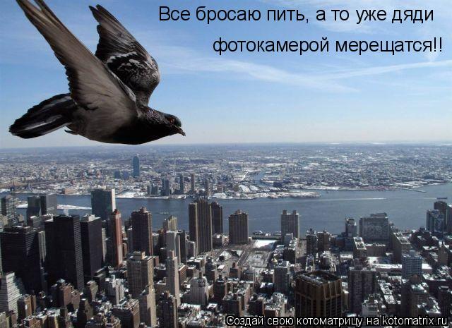 Все бросаю пить, а то уже дяди фотокамерой мерещатся!!... Котоматрица: Все бросаю пить, а то уже дяди фотокамерой мерещатся!!