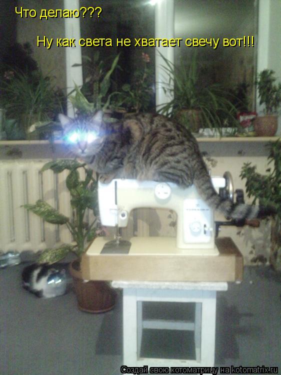 Что делаю??? Ну как света не хватает свечу вот!!!... Котоматрица: Что делаю??? Ну как света не хватает свечу вот!!!