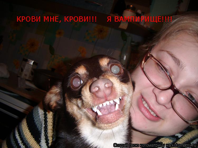 КРОВИ МНЕ, КРОВИ!!! Я ВАМПИРИЩЕ!!!!... Котоматрица: КРОВИ МНЕ, КРОВИ!!! Я ВАМПИРИЩЕ!!!!