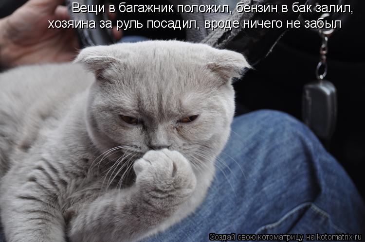 Вещи в багажник положил, бензин в бак залил, хозяина за руль посадил, вроде ничего не забыл... Котоматрица: Вещи в багажник положил, бензин в бак залил, хозяина за руль посадил, вроде ничего не забыл