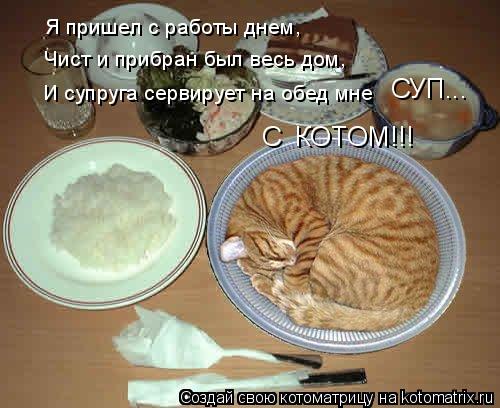 Я пришел с работы днем, Чист и прибран был весь дом, И супруга сервирует на обед мне СУП... С КОТОМ!... Котоматрица: Я пришел с работы днем, Чист и прибран был весь дом, И супруга сервирует на обед мне СУП... С КОТОМ!!!