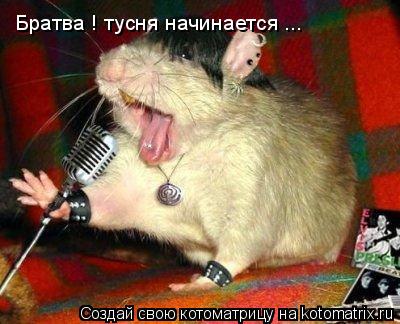 Братва ! тусня начинается ...... Котоматрица: Братва ! тусня начинается ...