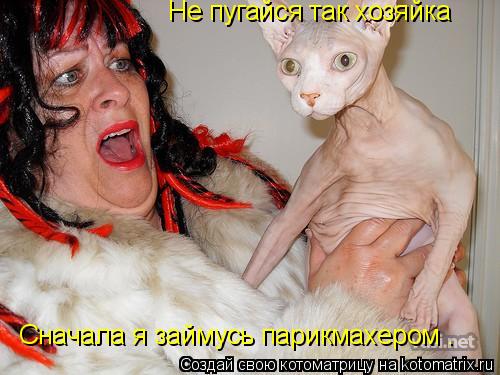 Не пугайся так хозяйка Сначала я займусь парикмахером .... Котоматрица: Не пугайся так хозяйка Сначала я займусь парикмахером .