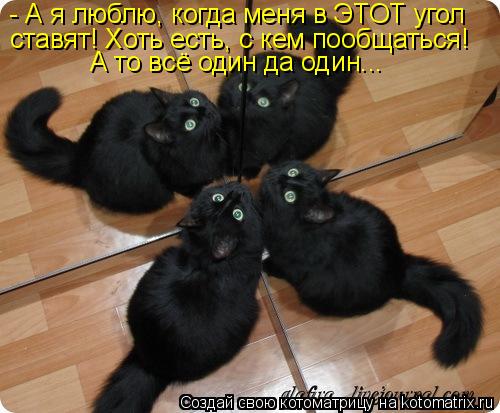 - А я люблю, когда меня в ЭТОТ угол ставят! Хоть есть, с кем пообщаться! А то всё один да один...... Котоматрица: - А я люблю, когда меня в ЭТОТ угол ставят! Хоть есть, с кем пообщаться! А то всё один да один...