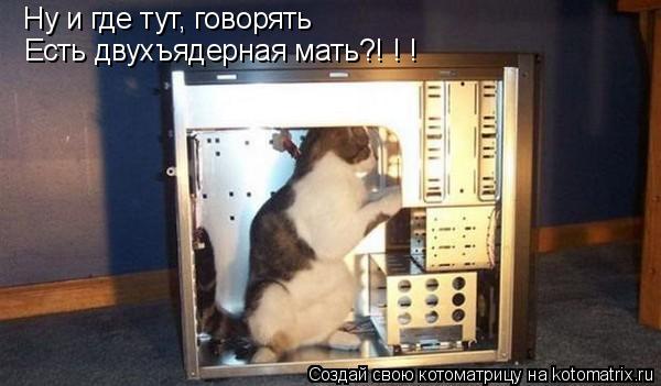 Ну и где тут, говорять Есть двухъядерная мать?! ! !... Котоматрица: Ну и где тут, говорять Есть двухъядерная мать?! ! !
