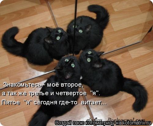 Знакомьтесь - моё второе, а так же третье и четвертое "я". Пятое "я" сегодня где-то витает...... Котоматрица: Знакомьтесь - моё второе, а так же третье и четвертое "я". Пятое "я" сегодня где-то витает...