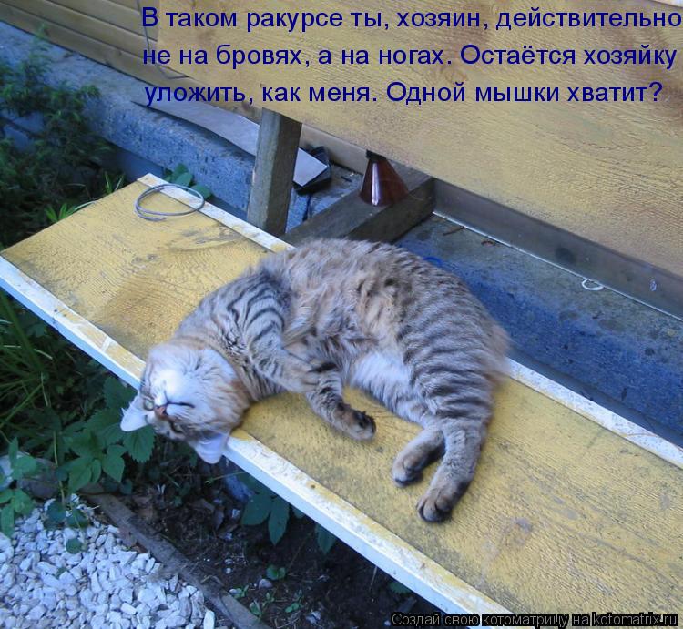 В таком ракурсе ты, хозяин, действительно не на бровях, а на ногах. Остаётся хозяйку уложить, как ... Котоматрица: В таком ракурсе ты, хозяин, действительно не на бровях, а на ногах. Остаётся хозяйку уложить, как меня. Одной мышки хватит?