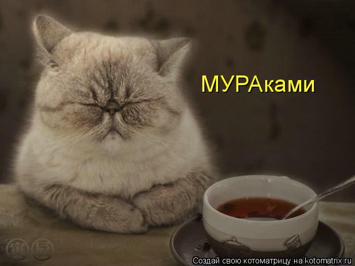 МУРАками... Котоматрица: МУРАками