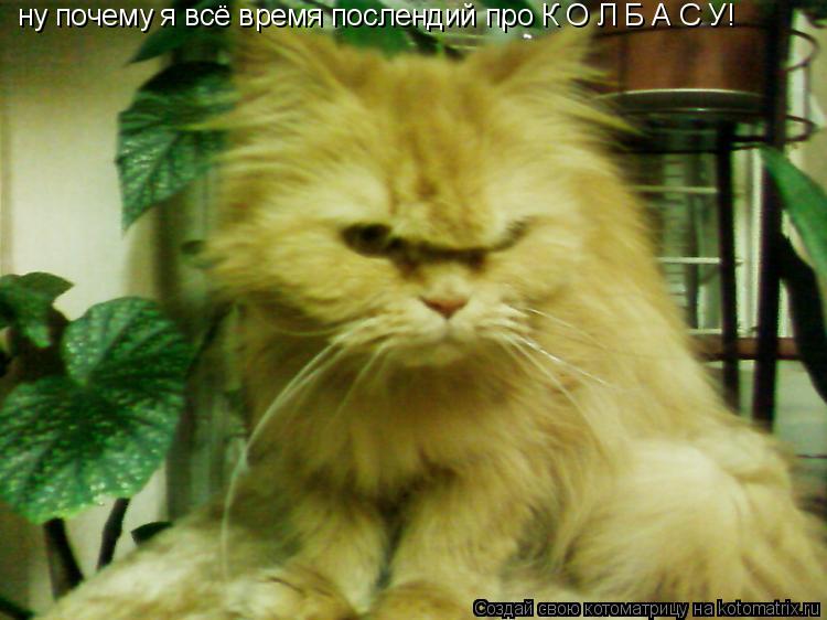 ну почему я всё время послендий про К О Л Б А С У!... Котоматрица: ну почему я всё время послендий про К О Л Б А С У!