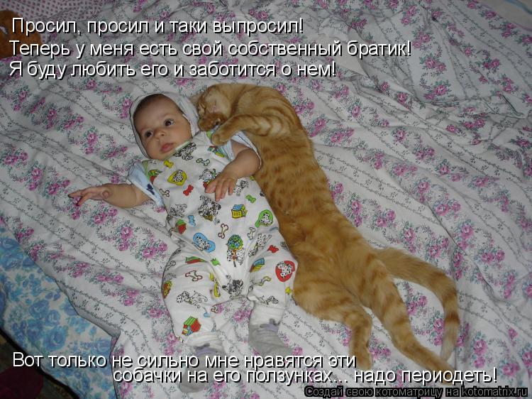 Просил, просил и таки выпросил! Теперь у меня есть свой собственный братик! Я буду любить его и забот... Котоматрица: Просил, просил и таки выпросил! Теперь у меня есть свой собственный братик! Я буду любить его и заботится о нем! Вот только не сильно мне нрав