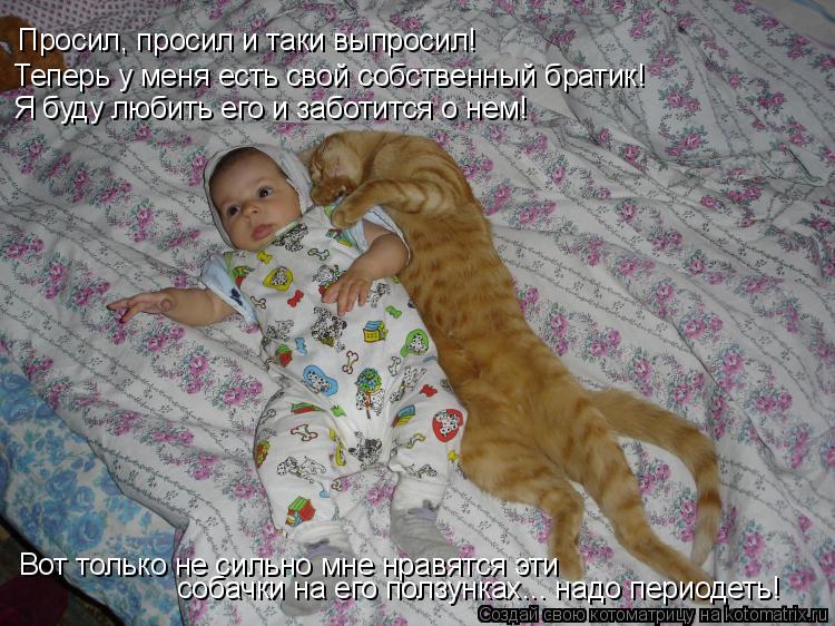 Котоматрица: Просил, просил и таки выпросил! Теперь у меня есть свой собственный братик! Я буду любить его и заботится о нем! Вот только не сильно мне нрав