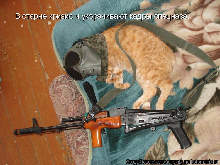 В старне кризис и укорачивают кадры спецназа.... Котоматрица: В старне кризис и укорачивают кадры спецназа.