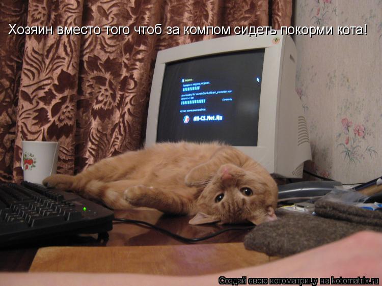 Хозяин вместо того чтоб за компом сидеть покорми кота!... Котоматрица: Хозяин вместо того чтоб за компом сидеть покорми кота!
