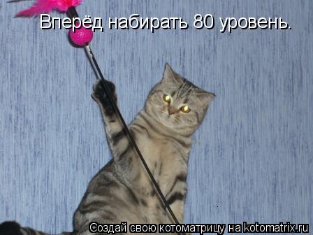 Вперёд набирать 80 уровень.... Котоматрица: Вперёд набирать 80 уровень.