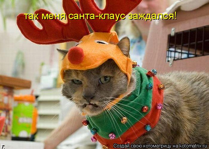так меня санта-клаус заждался!... Котоматрица: так меня санта-клаус заждался!