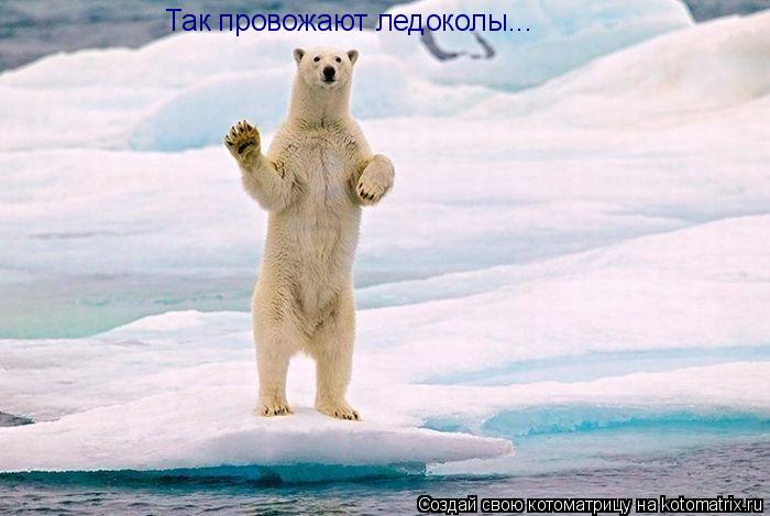 Котоматрица: Так провожают ледоколы...