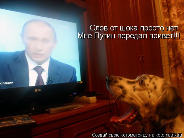 Слов от шока просто нет Мне Путин передал привет!!!... Котоматрица: Слов от шока просто нет Мне Путин передал привет!!!