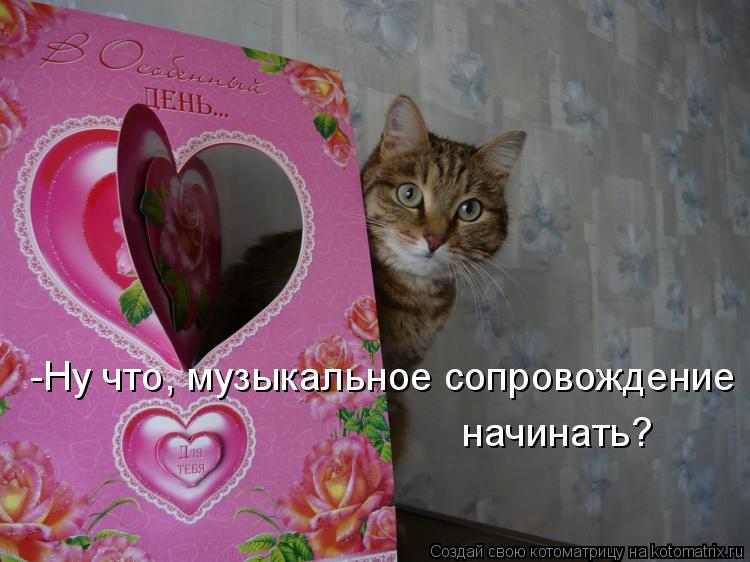 -Ну что, музыкальное сопровождение начинать?... Котоматрица: -Ну что, музыкальное сопровождение начинать?