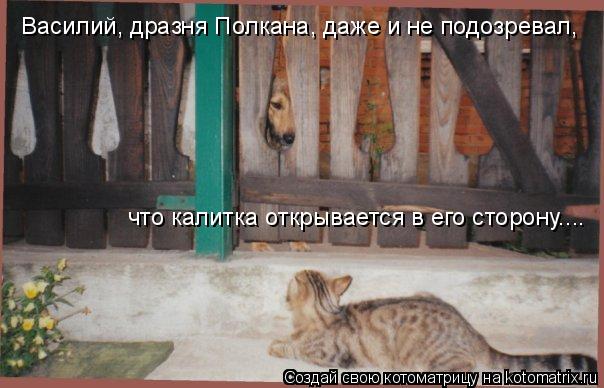 Василий, дразня Полкана, даже и не подозревал, что калитка открывается в его сторону....... Котоматрица: Василий, дразня Полкана, даже и не подозревал, что калитка открывается в его сторону....