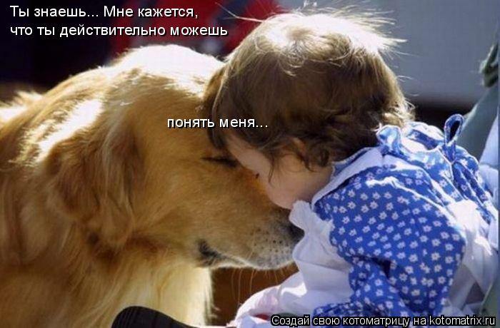 понять меня... Ты знаешь... Мне кажется, что ты действительно можешь... Котоматрица: понять меня... Ты знаешь... Мне кажется, что ты действительно можешь