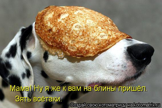 Мама! Ну я же к вам на блины пришёл. Зять всётаки.... Котоматрица: Мама! Ну я же к вам на блины пришёл. Зять всётаки.
