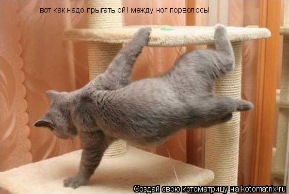 вот как надо прыгать ой! между ног порволось!... Котоматрица: вот как надо прыгать ой! между ног порволось!