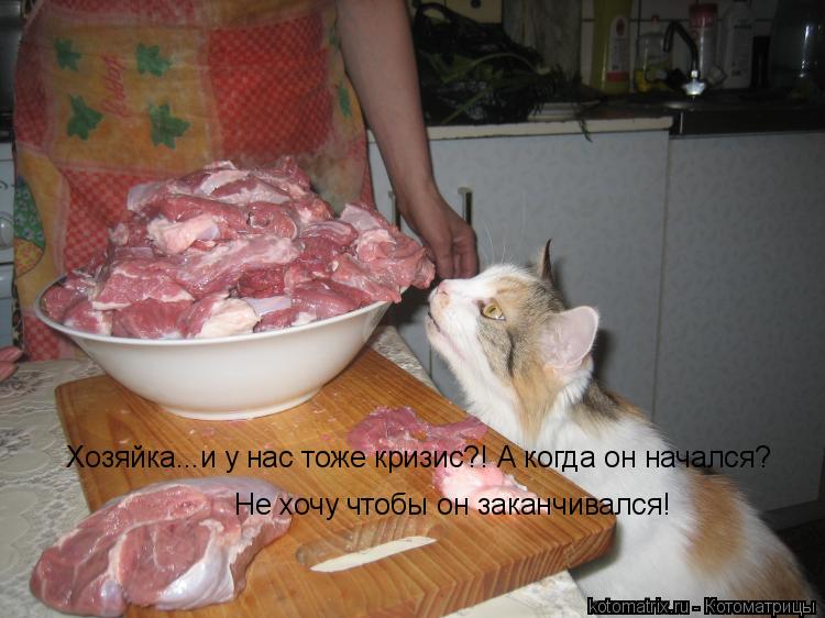 Хозяйка...и у нас тоже кризис?! А когда он начался? Не хочу чтобы он заканчивался!... Котоматрица: Хозяйка...и у нас тоже кризис?! А когда он начался? Не хочу чтобы он заканчивался!