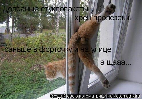 Долбаные стуклопакеты хрен пролезешь раньше в форточку и на улице а щааа...... Котоматрица: Долбаные стуклопакеты хрен пролезешь раньше в форточку и на улице а щааа...