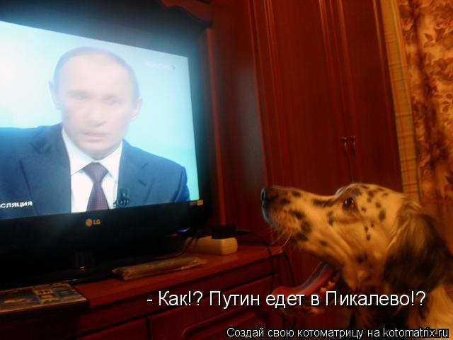 - Как!? Путин едет в Пикалево!?... Котоматрица: - Как!? Путин едет в Пикалево!?